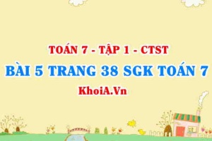 Bài 5 trang 38 SGK Toán 7 chân trời sáng tạo tập 1